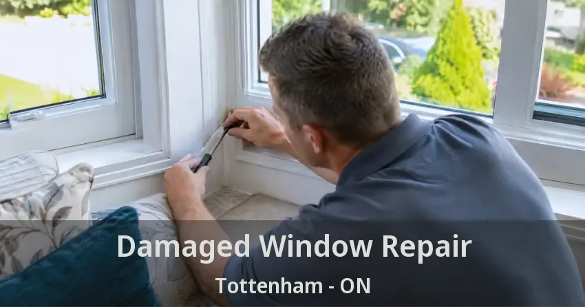 Damaged Window Repair Tottenham - ON