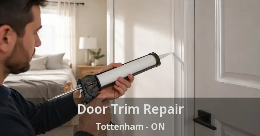 Door Trim Repair Tottenham - ON