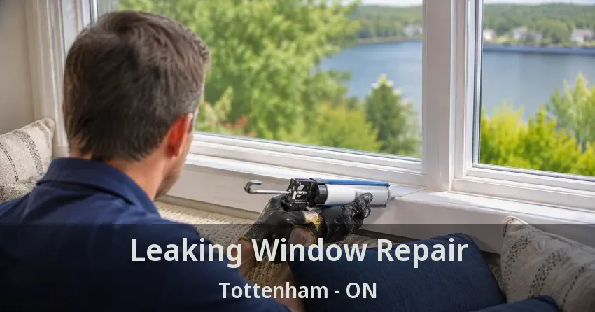 Leaking Window Repair Tottenham - ON