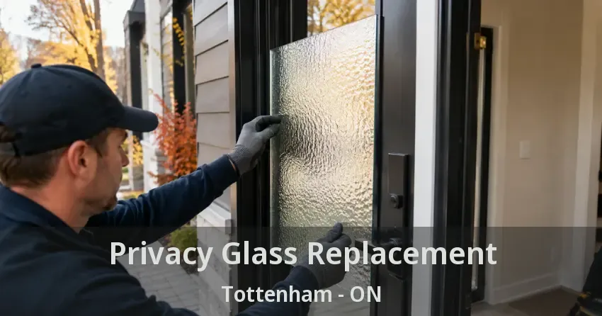 Privacy Glass Replacement Tottenham - ON